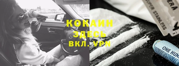 шишки Белокуриха