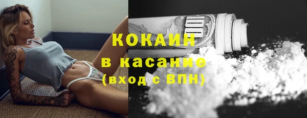 шишки Белокуриха