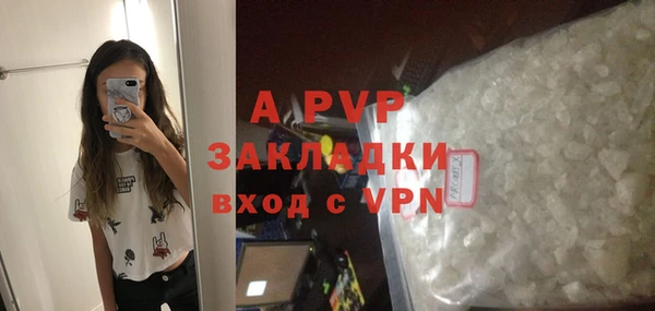 шишки Белокуриха
