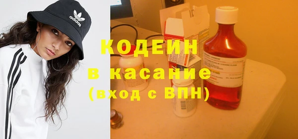 шишки Белокуриха