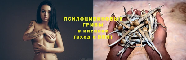 шишки Белокуриха