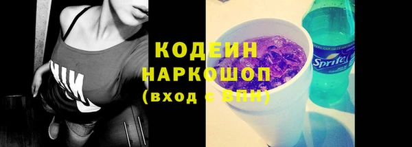 шишки Белокуриха