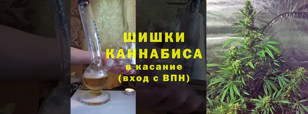 шишки Белокуриха